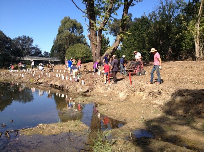 Oolong Creek Planting Day Dalton