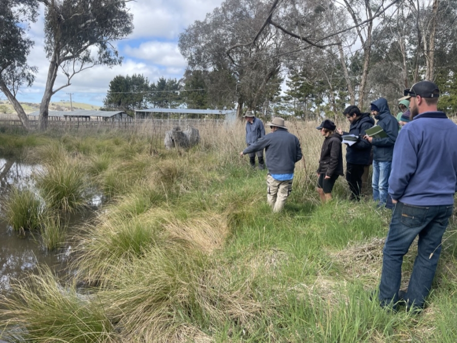Bushcare @ Gunning Showgrounds Bush Block