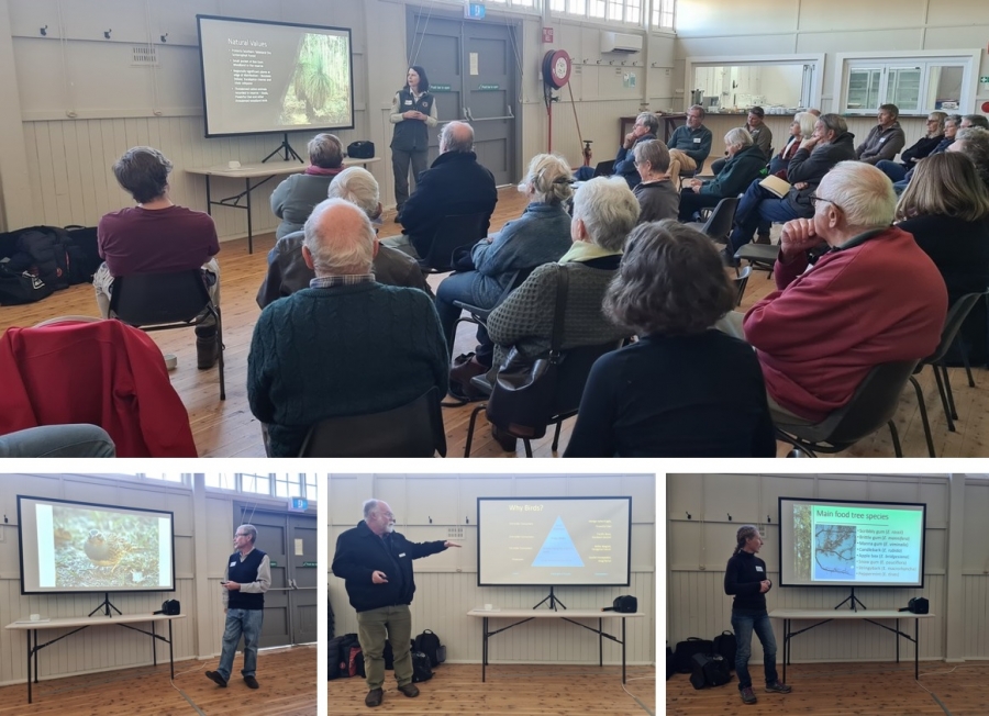 Mates of Mundoonen: Birds, Bears, Biscuits &amp; Biodiversity