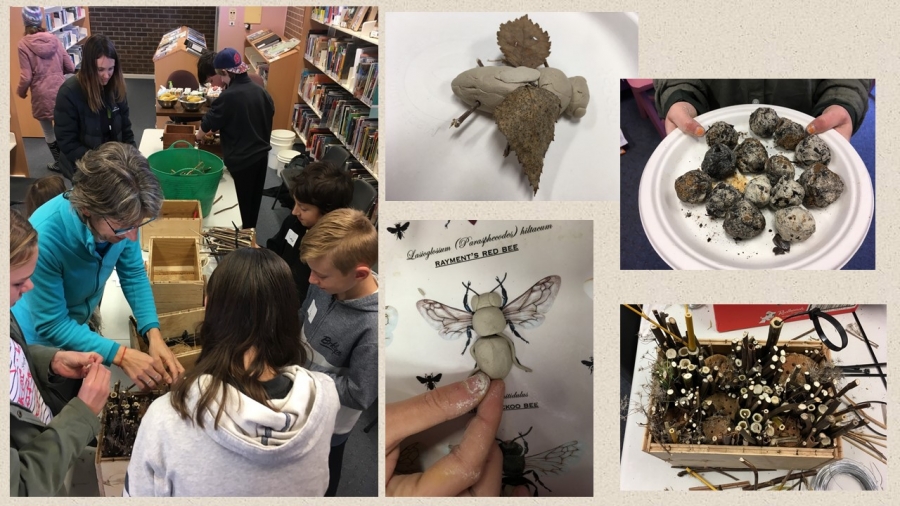 &#039;Brilliant Bees&#039;, Gunning Library, July 2019