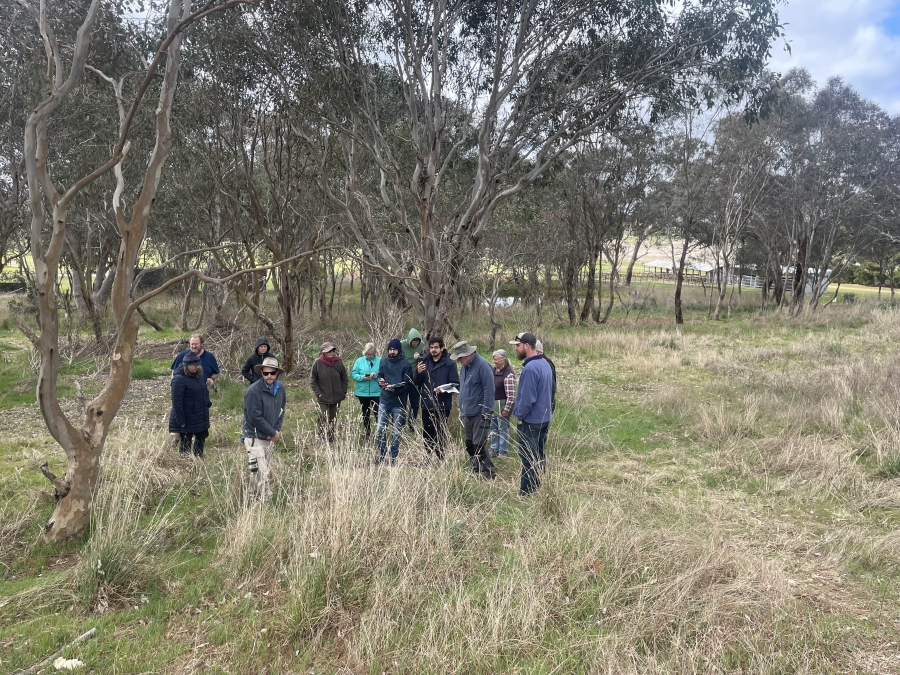 Jed Pearson points out Priority Weeds to the group